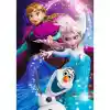 KSFrozenPuzzle50Parça