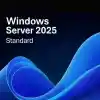 MICROSOFT WINDOWS SERVER 2025 STANDART DELL SERVER YAZILIMI W2K25STD-ROK