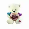 PJH2322 Peluş Kalpli Ayı 30 cm