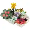 S00004685 BLX FLOWER SET SCULENT 971 PRÇ -SUN