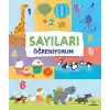 Sayıları Öğreniyorum