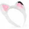 Taç Kedi Kulağı