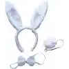 Tavşan Kostüm Seti Taç Papyon Kuyruk Beyaz Renk