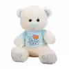 Tişörtlü Peluş Ayı 40 cm.