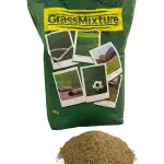 Grass Mixture 6 Karışımlı İthal Çim Tohumu 10 Kg