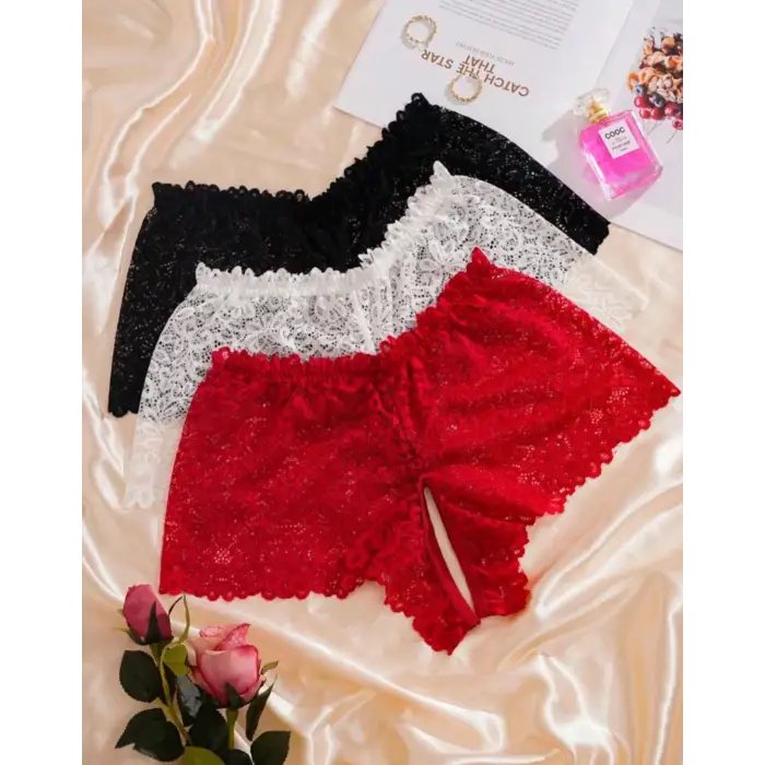 ÖZEL BÖLGESİ AÇIK DANTEL KÜLOT (3 ADET)