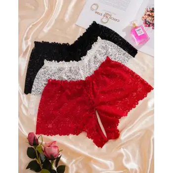 ÖZEL BÖLGESİ AÇIK DANTEL KÜLOT (3 ADET)