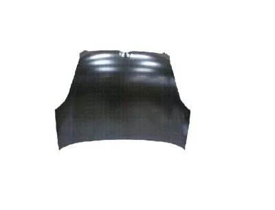 MOTOR KAPUTU DOBLO 2010-