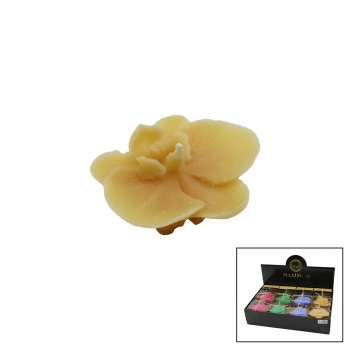 MAXİMUM MAX-2329 ( TEKLİ ) ( ORKİDE MODELİ ) ( RENKLİ & KOKULU ) MUM*20X1