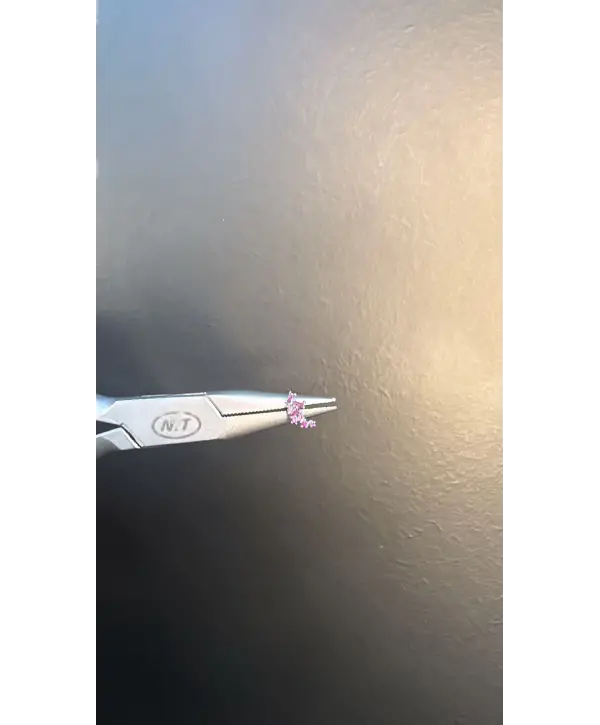 Çelik 316 L Fuşya Renk Piercing