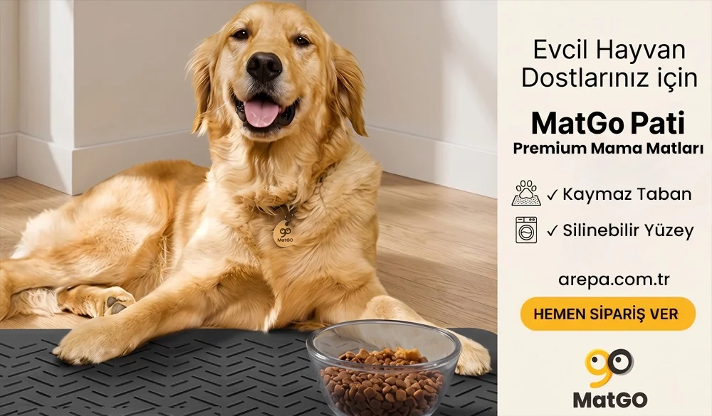 MatGo Pati Mama Matları