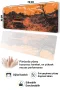 SonicTouch Klavye Mousepad 32x70cm Çorak Dünya Dikişsiz Pürüzsüz Sıvı Geçirmez Kaymaz Taban