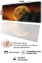 SonicTouch Klavye Mousepad 32x70cm Kehribar Ay Dikişsiz Pürüzsüz Sıvı Geçirmez Kaymaz Taban