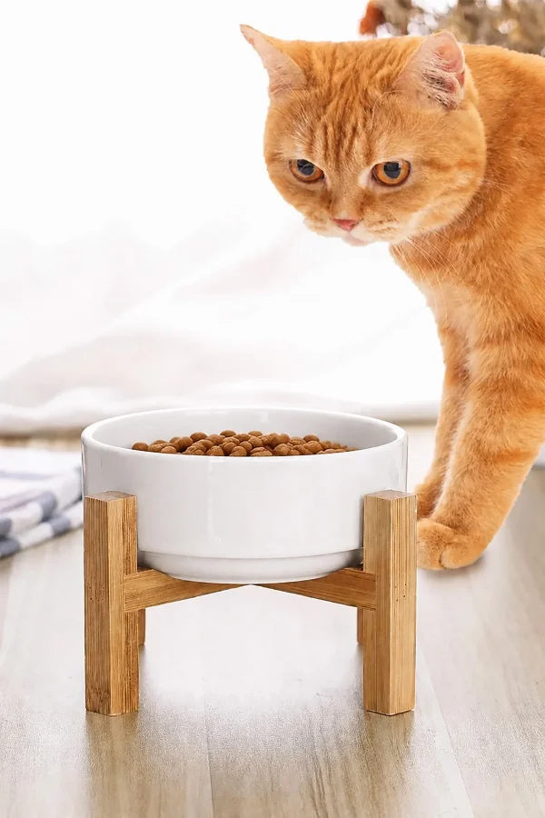 MAtGo Pati Çam Ağacı Kedi Köpek Beslenme Mama ve Su Kabı Seramik Kaseli 500Ml Hacim Kaymaz Devrilmez 1 Ad.