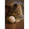 MatGo Pati Doğal Sessiz Kedi Oyun Topu Kedi Oyuncağı Yün Yumağı - Hareket ve Gelişimi Destekler