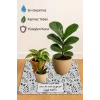 Valerine Life Çiçek Saksı Matı Salon Balkon Bitkileri Zemin Koruyucu Kaymaz Saksı Altlığı 60x60cm 27SAD250624