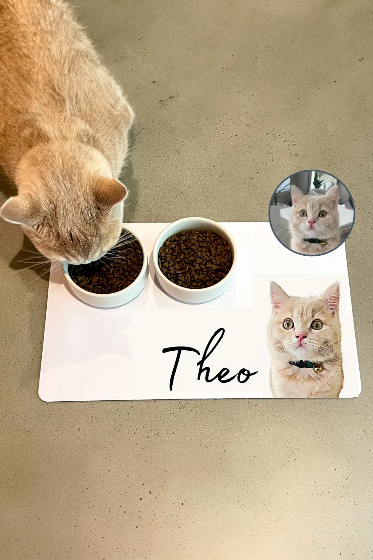 MAtGo Pati Hayvana isme Özel Fotoğraflı Beslenme Matı Kaymaz Sıvı Geçirmez Kedi Köpek Mama Paspası 50x70cm