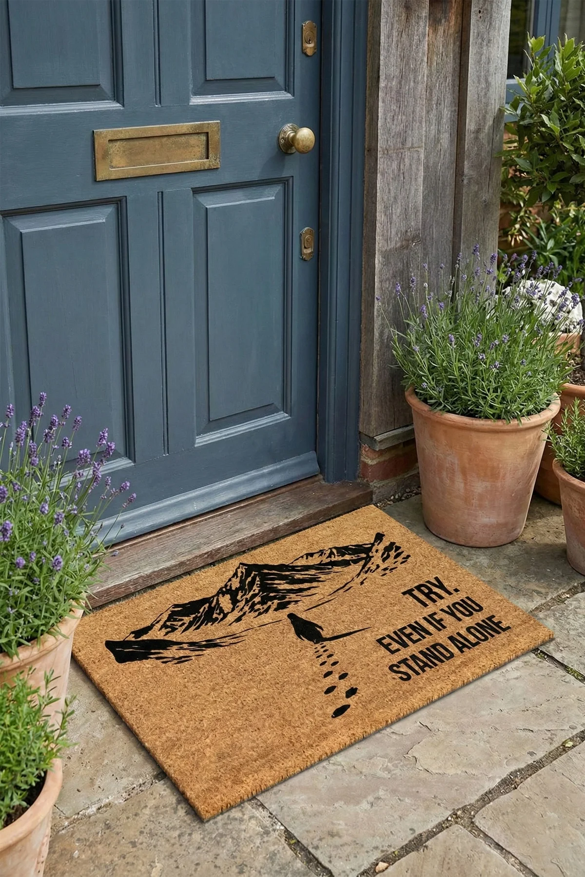 Valerine Life Velür Doku Coco Görünüm Nihilist Penguen Balkon Bahçe Dış Kapı Önü Paspası 45x70cm Kaymaz