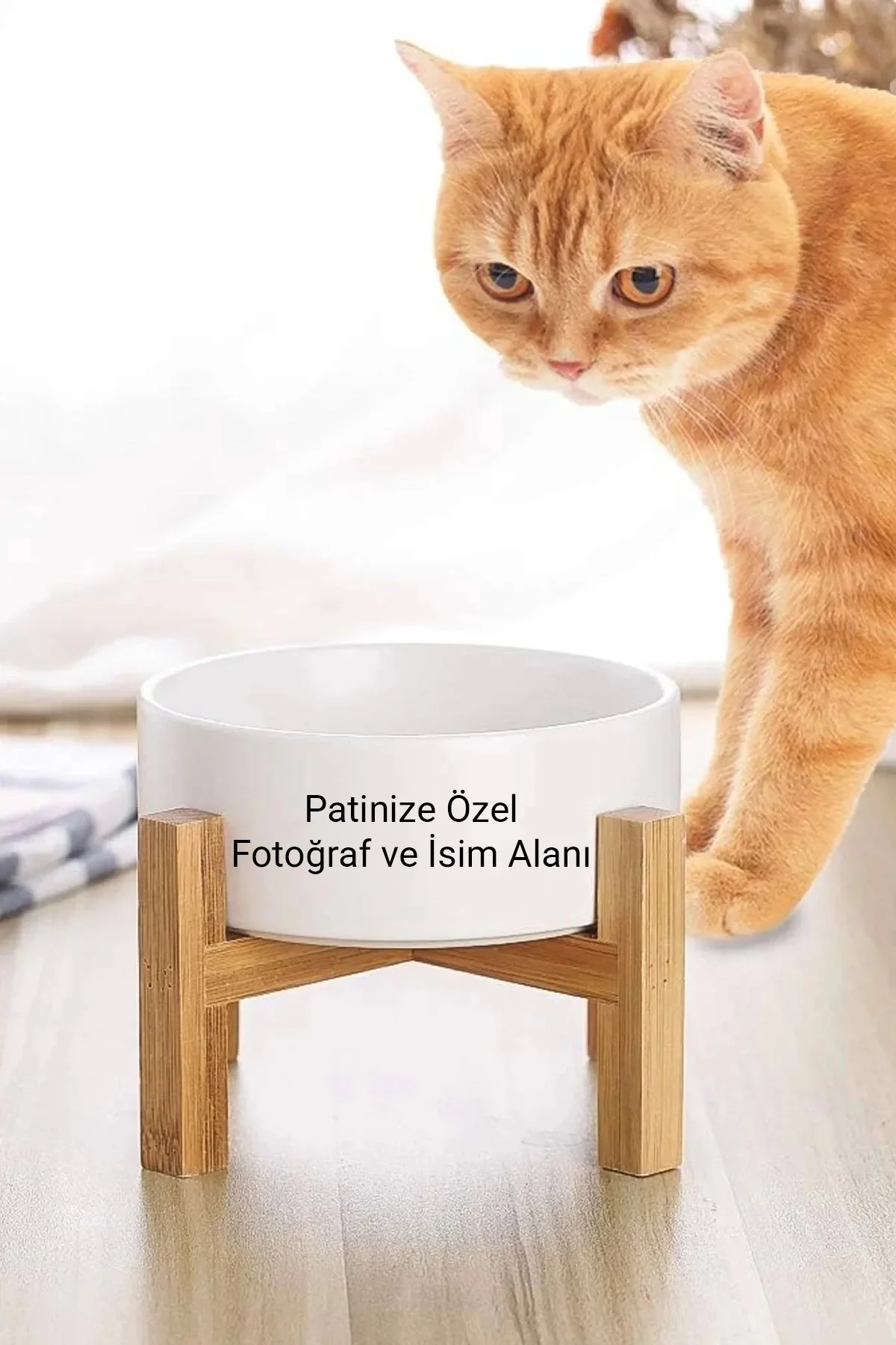 MAtGo Pati Kedi Köpek Beslenme Mama Su Kabı 500Ml Evcil Hayvana Özel Fotoğraflı isimli Seramik Kase 2 Adet