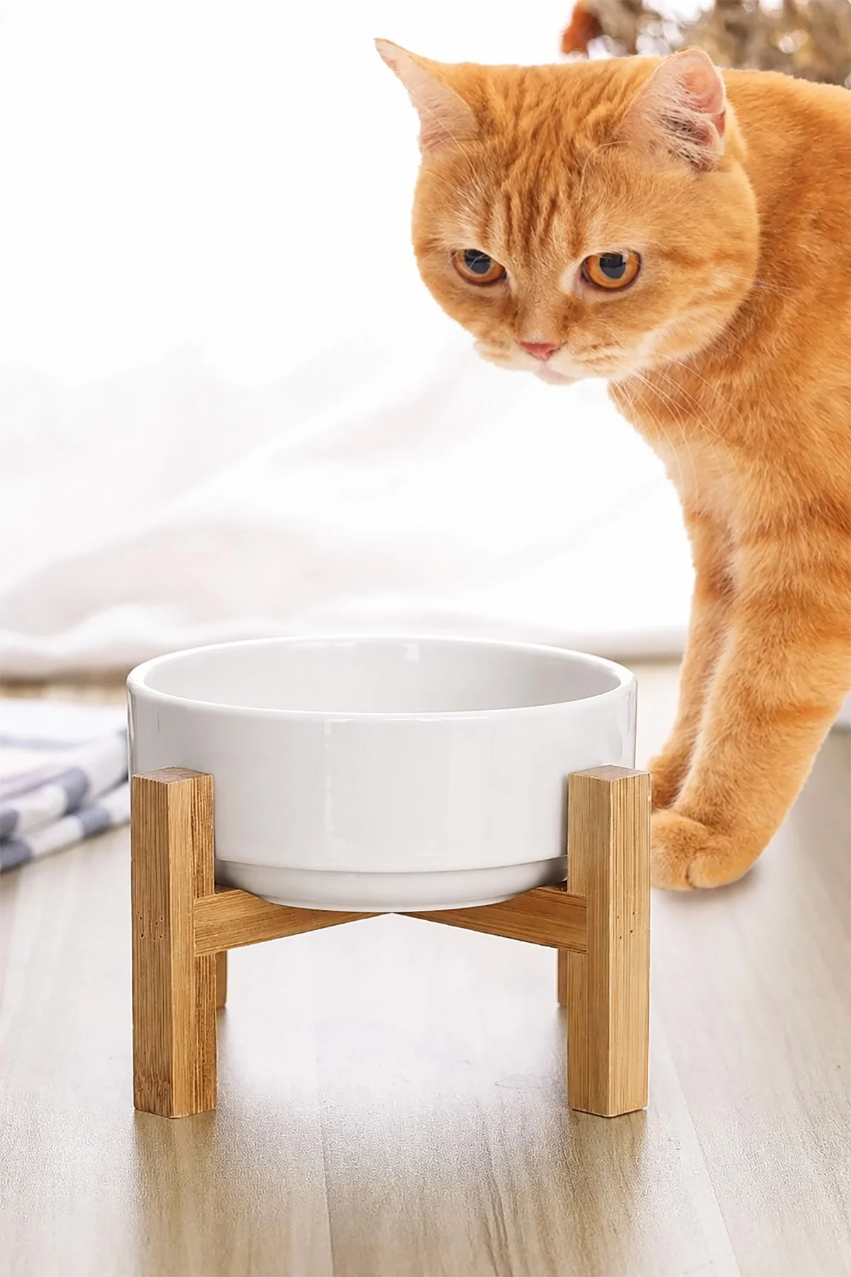 MAtGo Pati Kedi Köpek Beslenme Mama Su Kabı Çam Ağacı Seramik Kaseli Kaymaz Devrilmez 2 Adet 1.000Ml