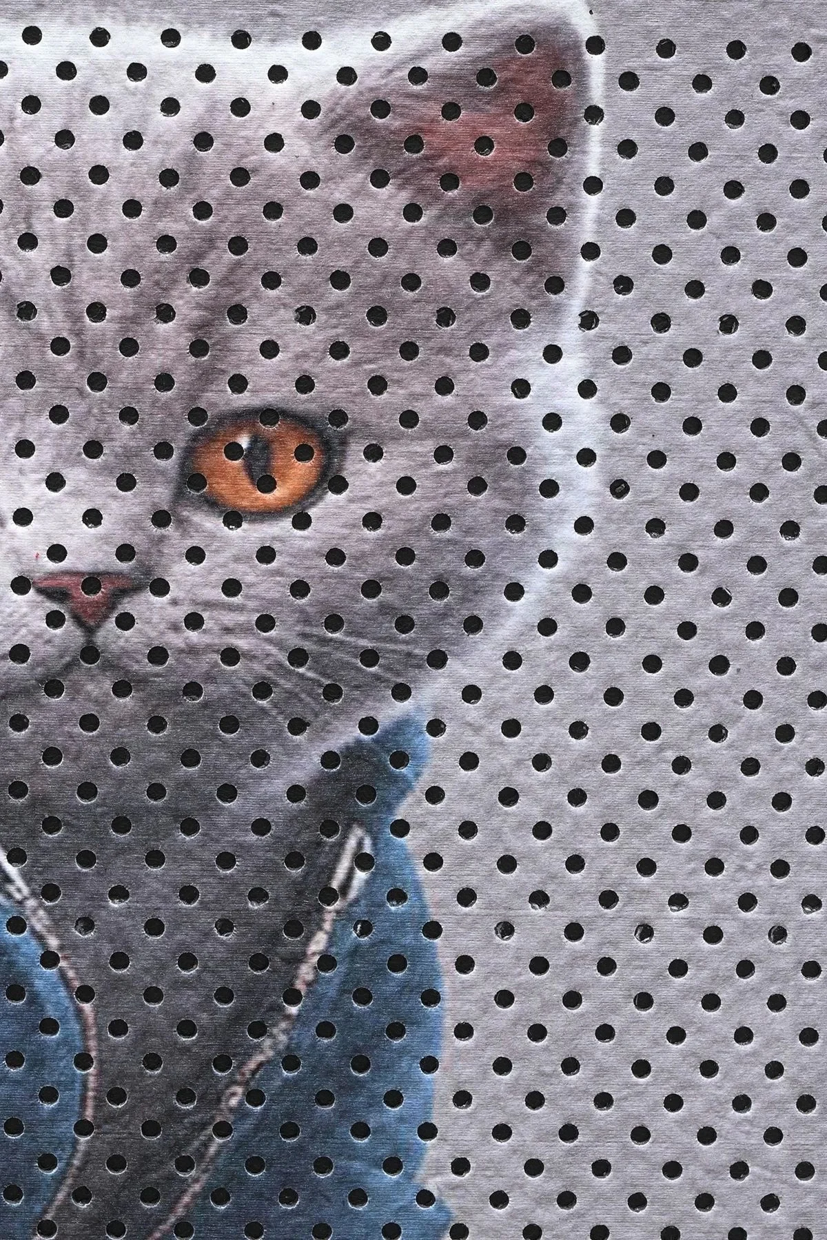 MatGo Pati Kedi Kumu Matı Çift Katlı Sıvı Geçirmez Kaymaz Elekli Yıkanabilir Kedi Tuvaleti Paspası 40x60cm