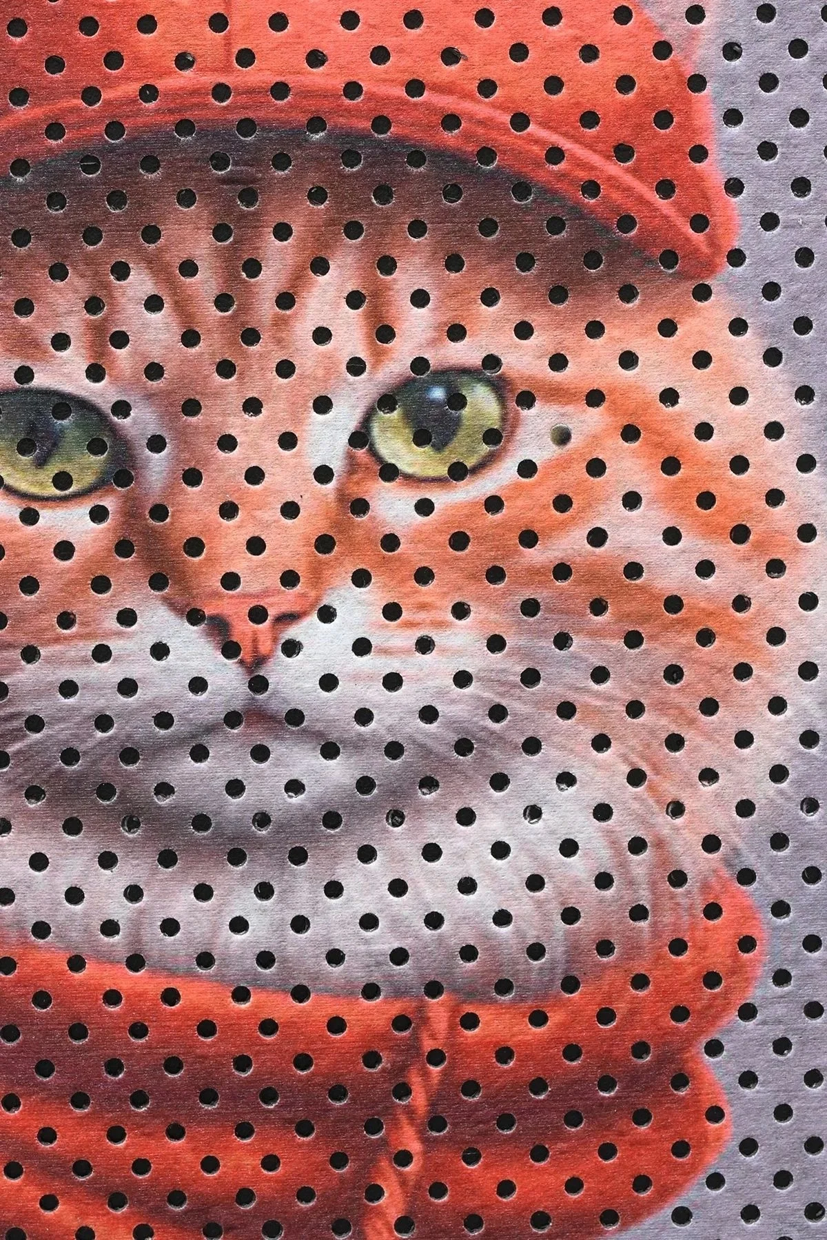 MatGo Pati Kedi Kumu Matı Çift Katlı Sıvı Geçirmez Kaymaz Elekli Yıkanabilir Kedi Tuvaleti Paspası 40x60cm