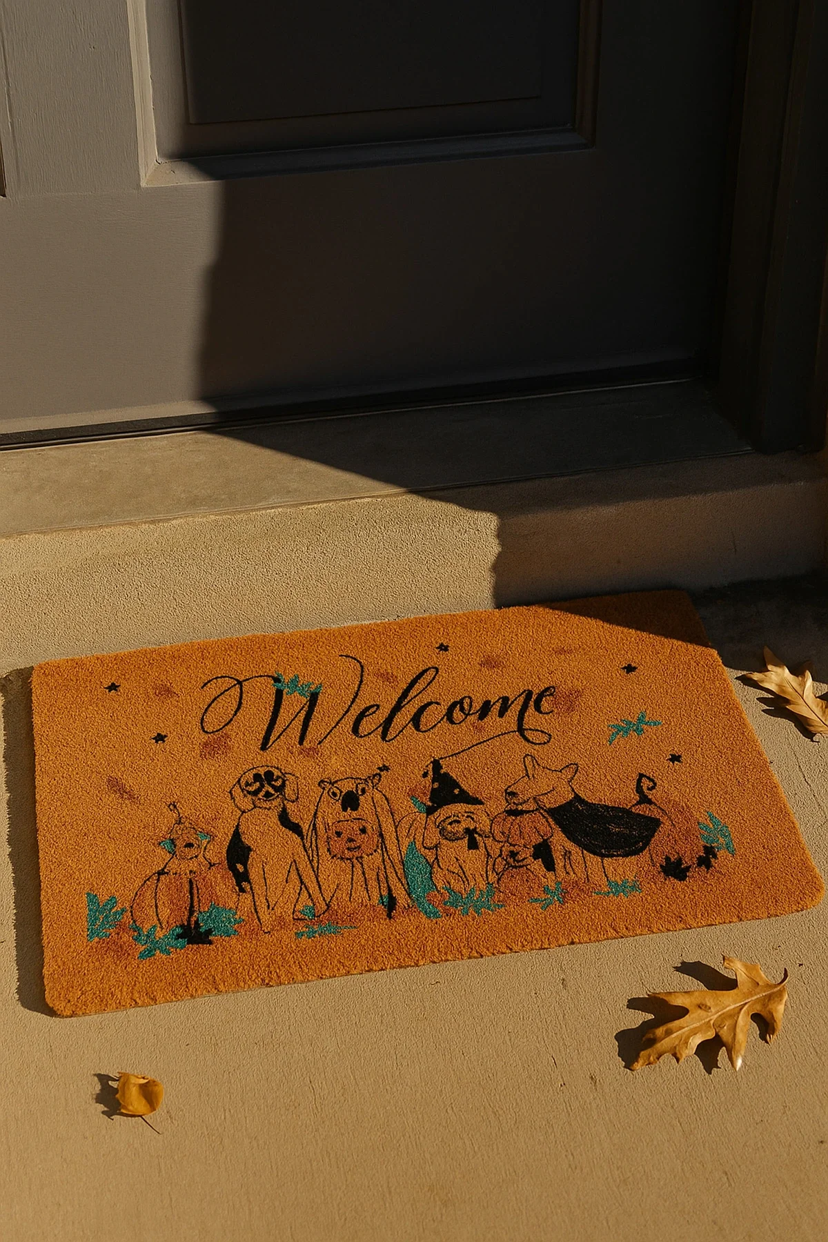 Valerine Life Velür Coco Dokulu Welcome Hoş Geldiniz Kapı Önü Dış Mekan Paspası 45x70cm 27YCM260110