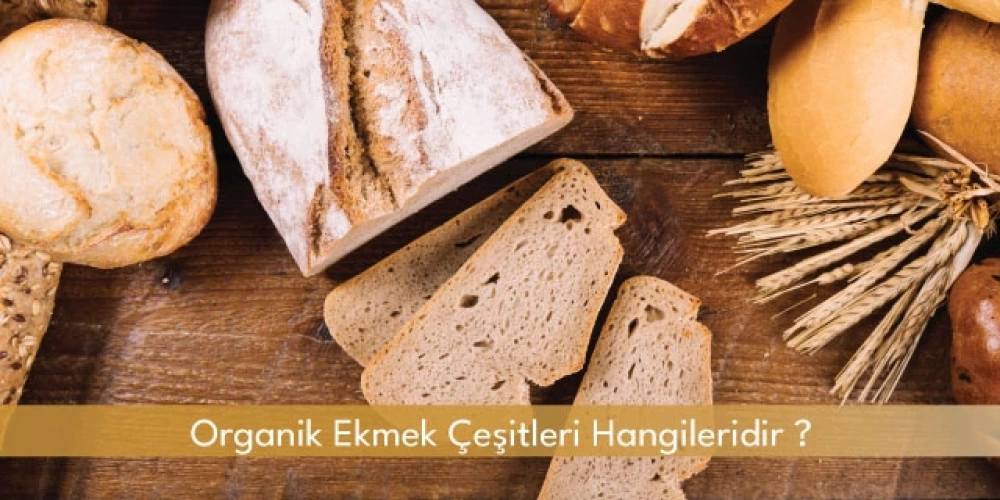 Organik Ekmek Çeşitleri Hangileridir?