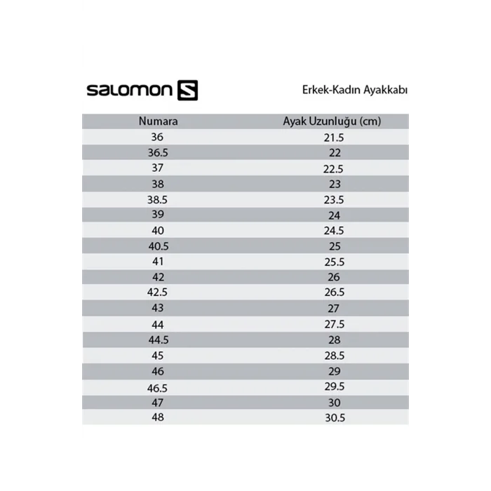 Salomon Sense Ride 4 Siyah Gri Arazi Erkek Koşu Ayakkabısı 412938