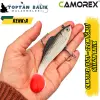 Camorex JXJ01 12cm 2li İğneli Silikon Balık (Renk: A)