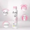 Emotion Kadın Deodorant Love 150 ml