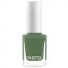 Pastel Oje 316