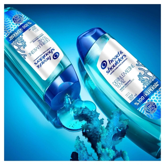 Head & Shoulders Derinlemesine Temiz Saç Derisi Detoksu Kepeğe Karşı Etkili Şampuan 300 ml