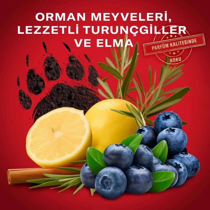 Old Spice Bearglove Erkek Duş Jeli ve Şampuan 1000 ml (Extra XL)