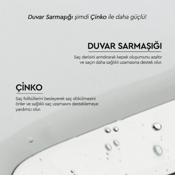 Otacı Botanics+ Kepek Karşıtı Bitkisel Bakım Şampuanı Duvar Sarmaşığı ve Çinko 375 ml