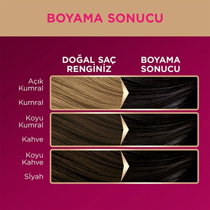 Palette Deluxe Saç Boyası 1-0 Siyah