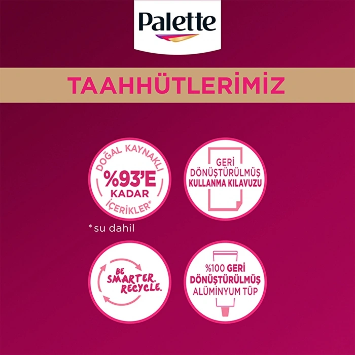 Palette Deluxe Saç Boyası 3-0 Koyu Kahve