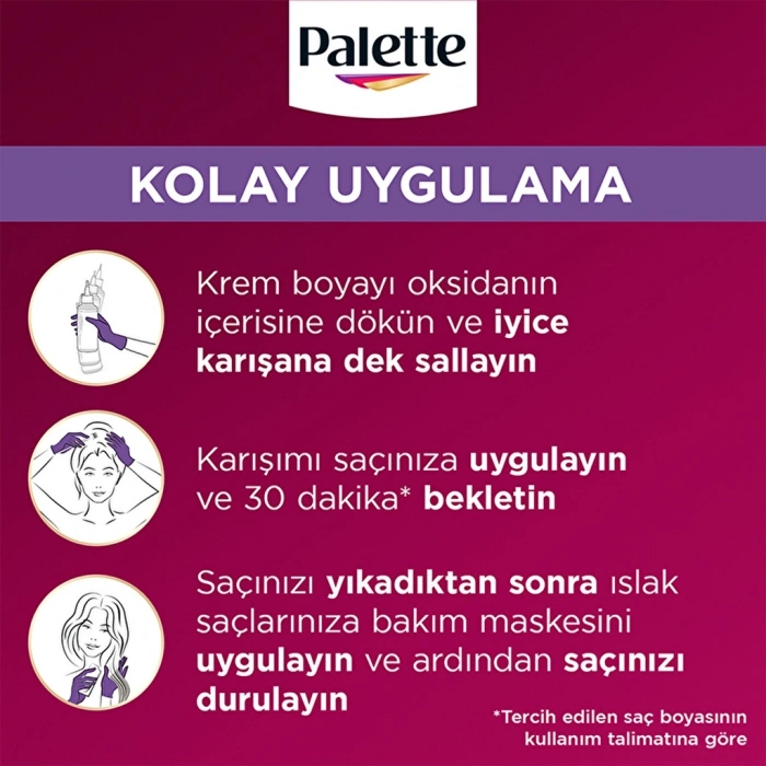 Palette Deluxe Saç Boyası U71 Elmas Grisi