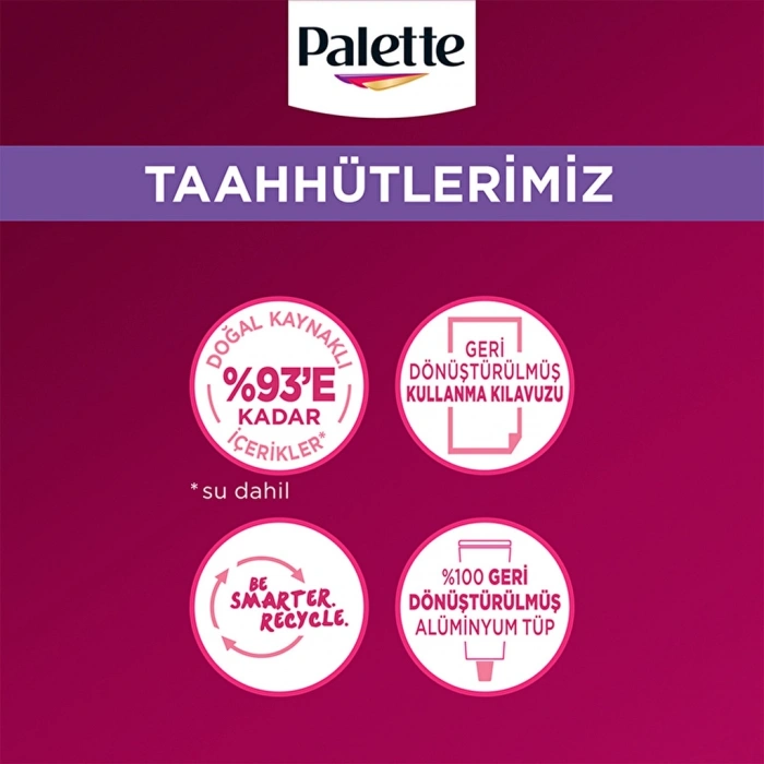 Palette Deluxe Saç Boyası U71 Elmas Grisi
