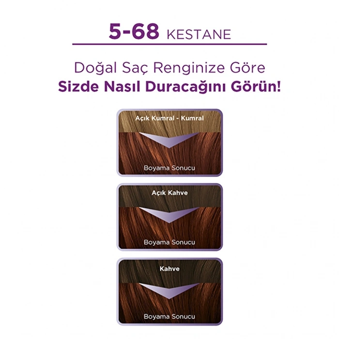 Palette Göz Alıcı Renkler Saç Boyası 5-68 Kestane