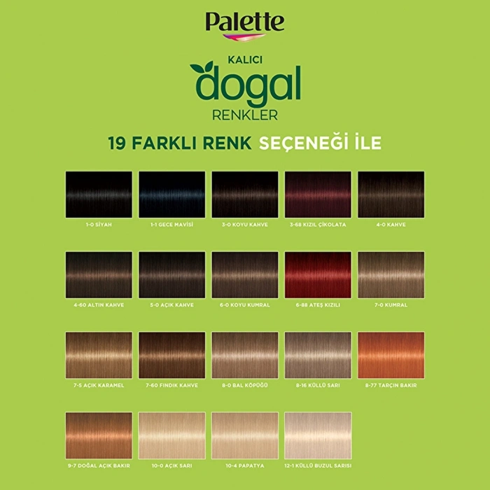 Palette Kalıcı Doğal Renkler Saç Boyası 1-0 Siyah