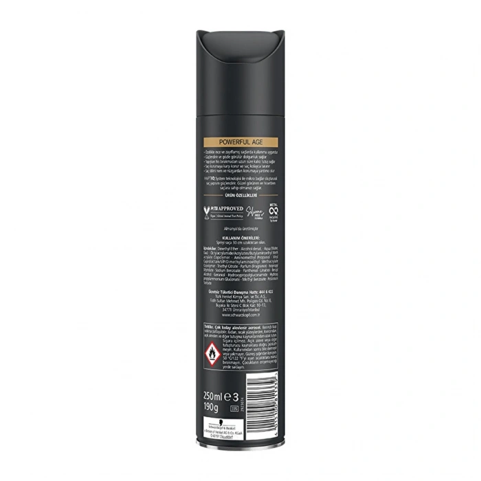 Taft Powerful Age Saç Spreyi 250 ml