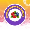 Dalin Orman Meyvesi Kokulu Köpük Sabun 200 ml