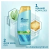 Head & Shoulders DermaXPro Yatıştırıcı Kepek Karşıtı Şampuan Aloe Vera Özü ve Seramid İle 300 ml