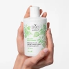 Otacı Botanics+ Yağlanma Karşıtı Bitkisel Bakım Şampuanı Isırgan Otu ve Salisilik Asit 375 ml