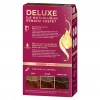 Palette Deluxe Saç Boyası 6-70 Kahve Bakır