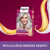 Palette Deluxe Saç Boyası U71 Elmas Grisi