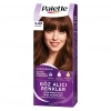 Palette Göz Alıcı Renkler Saç Boyası 5-68 Kestane