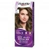 Palette Göz Alıcı Renkler Saç Boyası 7-1 Küllü Kumral
