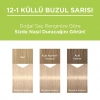 Palette Kalıcı Doğal Renkler Saç Boyası 12-1 Küllü Buzul Sarısı